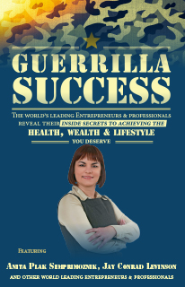 Guerilla Success cover